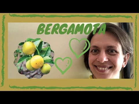 Descubre qué fruta es la bergamota y todos sus beneficios